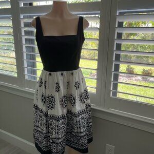 Maggy London White/Black Fully Lined Dress